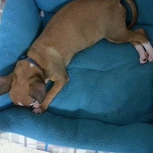 Meet your Posher, Annette